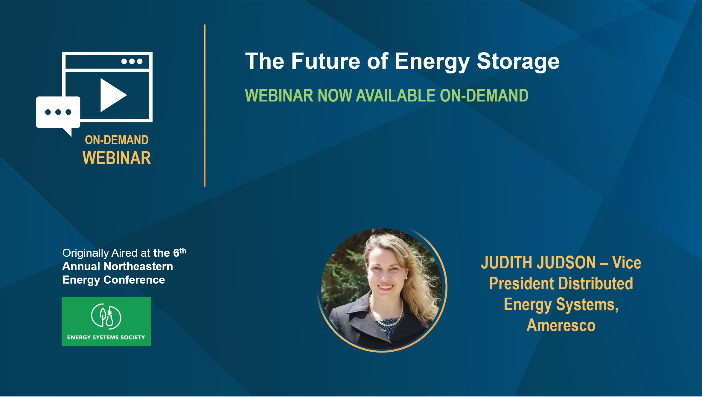 The Future of Energy Storage OnDemand Webinar from the 6th Annual